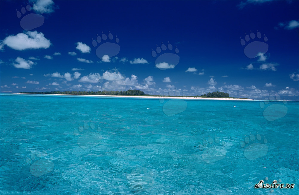 Laguna turquesa en la isla Midway en las Islas Hawaianas, EE. UU.