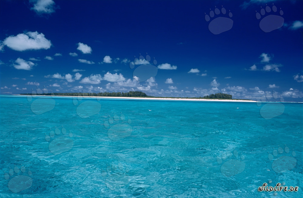 Turquoise Lagoon on Midway Island in the Hawaiian Islands, USA