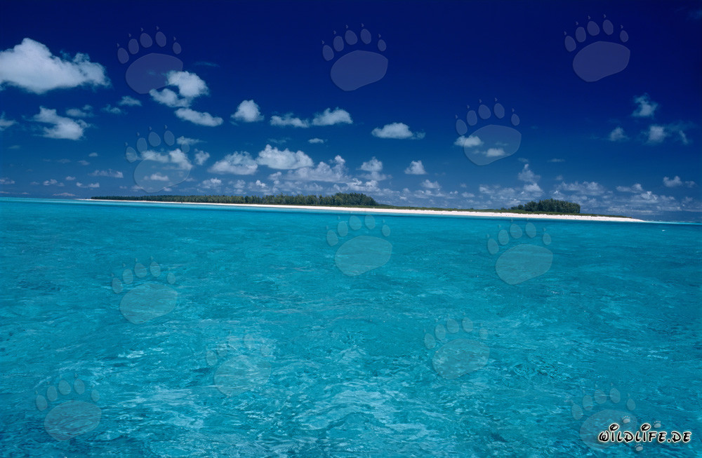 Île paradisiaque de la mer du Sud avec plage de sable blanc et mer turquoise
