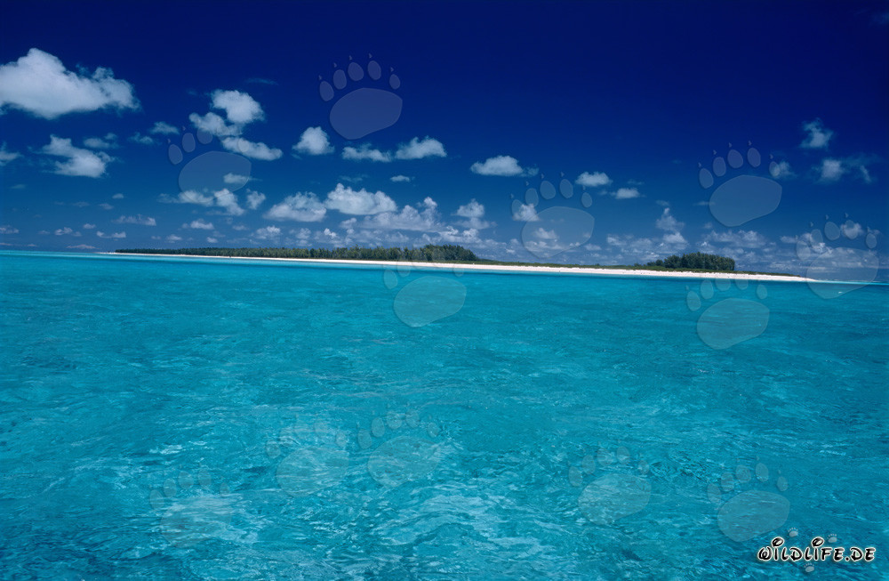Isola paradisiaca del mare del Sud con spiaggia di sabbia bianca e mare turchese