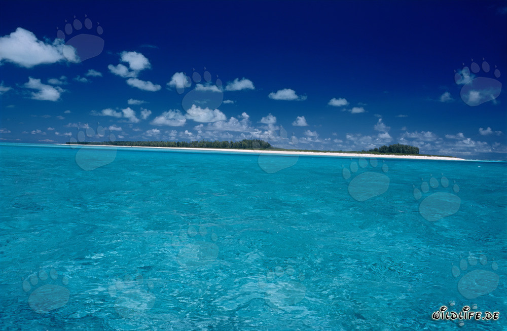 Dreamlike South Sea Island with White Sandy Beach and Turquoise Blue Sea
