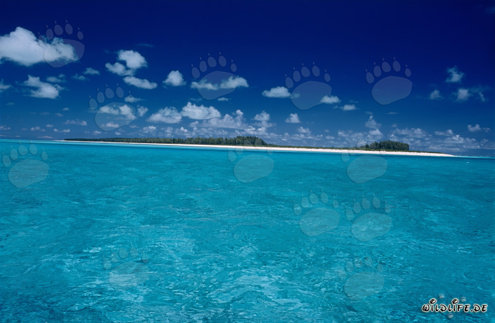 Traumhafte Südseeinsel mit weißem Sandstrand und türkisblauem Meer