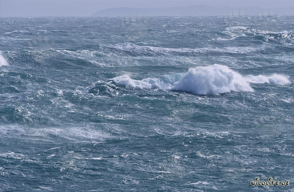 Tempête furieuse en mer au Cap des Aiguilles