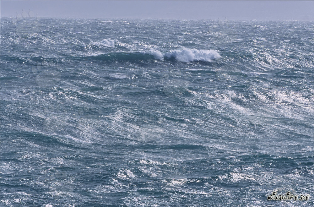 Mar embravecido en el Cabo de Agulhas en Sudáfrica
