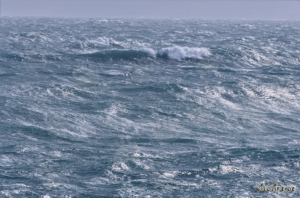 Mer agitée au Cap Agulhas en Afrique du Sud
