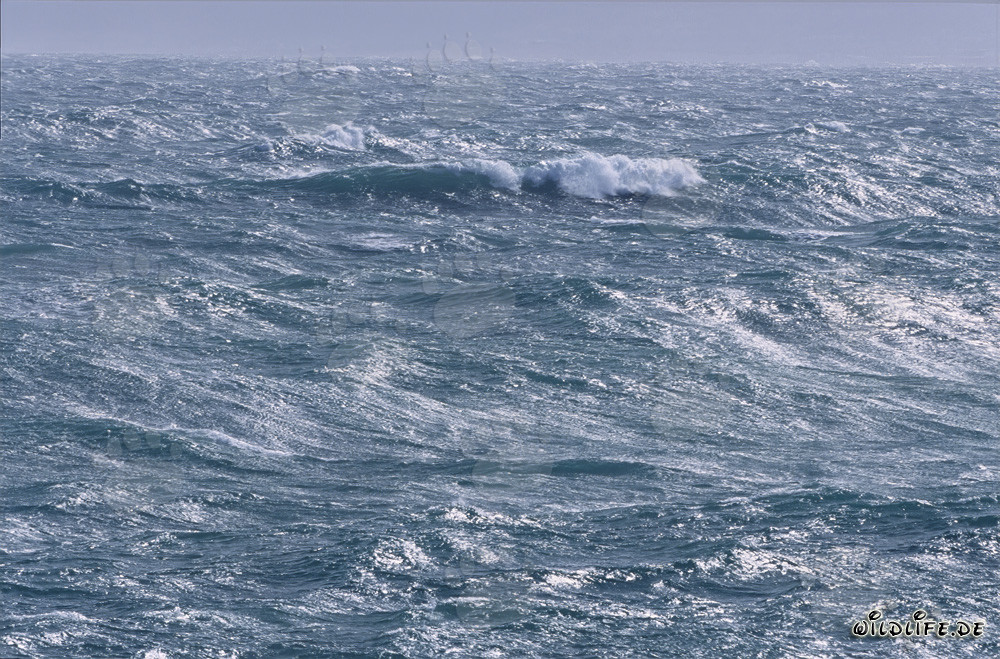 Roaring sea at Cape Agulhas in South Africa