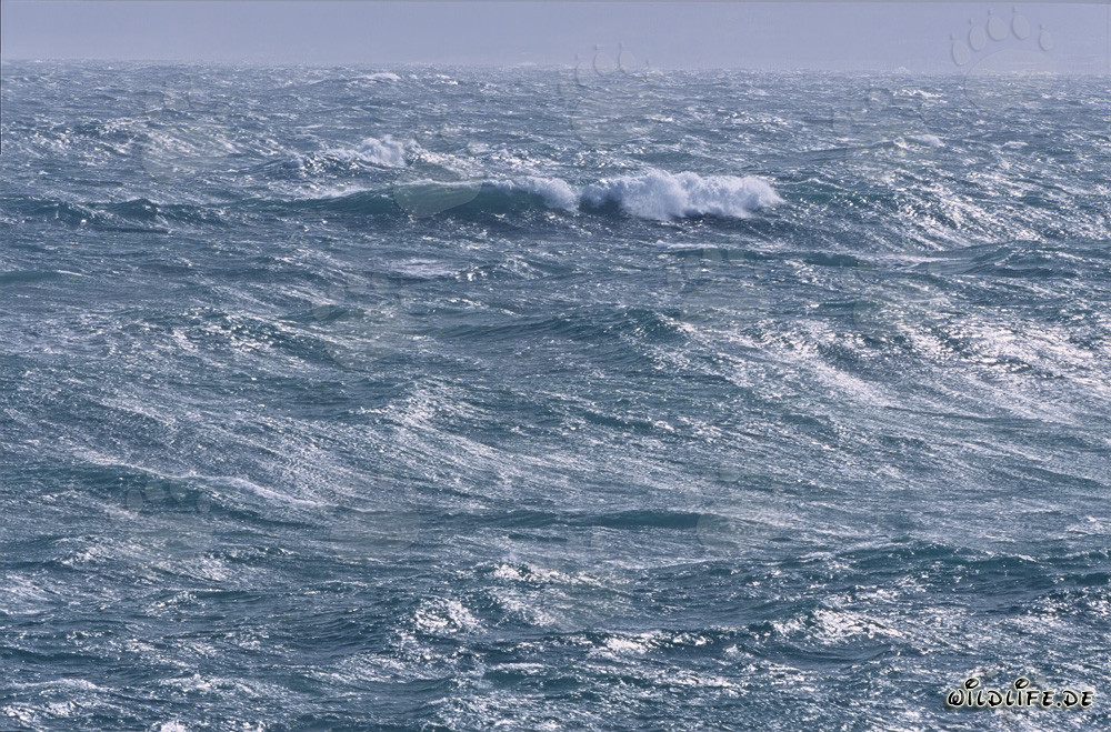 Mare in tempesta al Capo Agulhas in Sudafrica