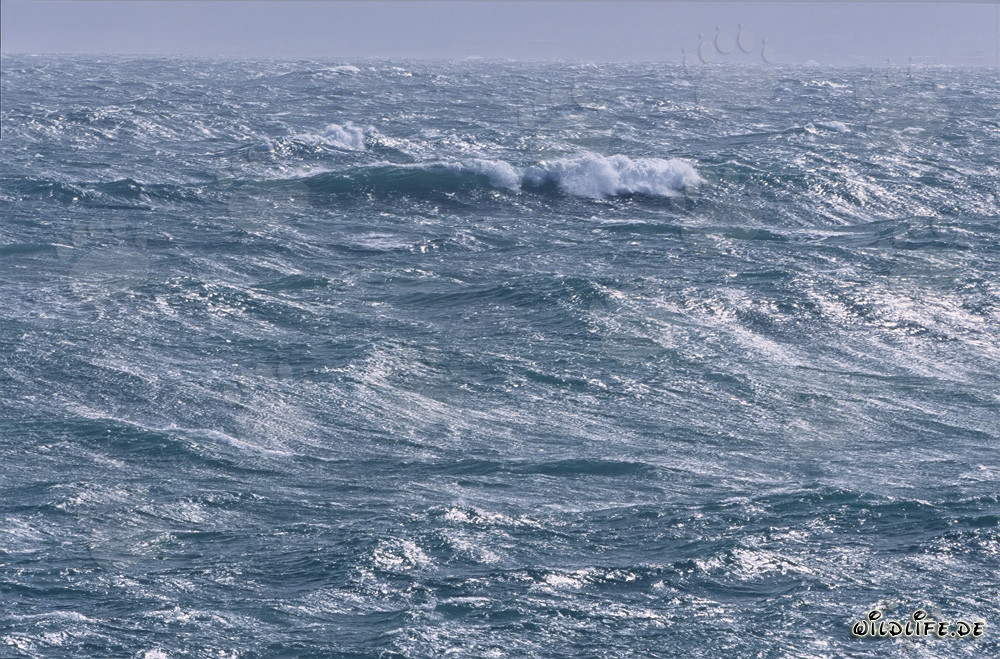 Tosende See am Kap Agulhas in Südafrika