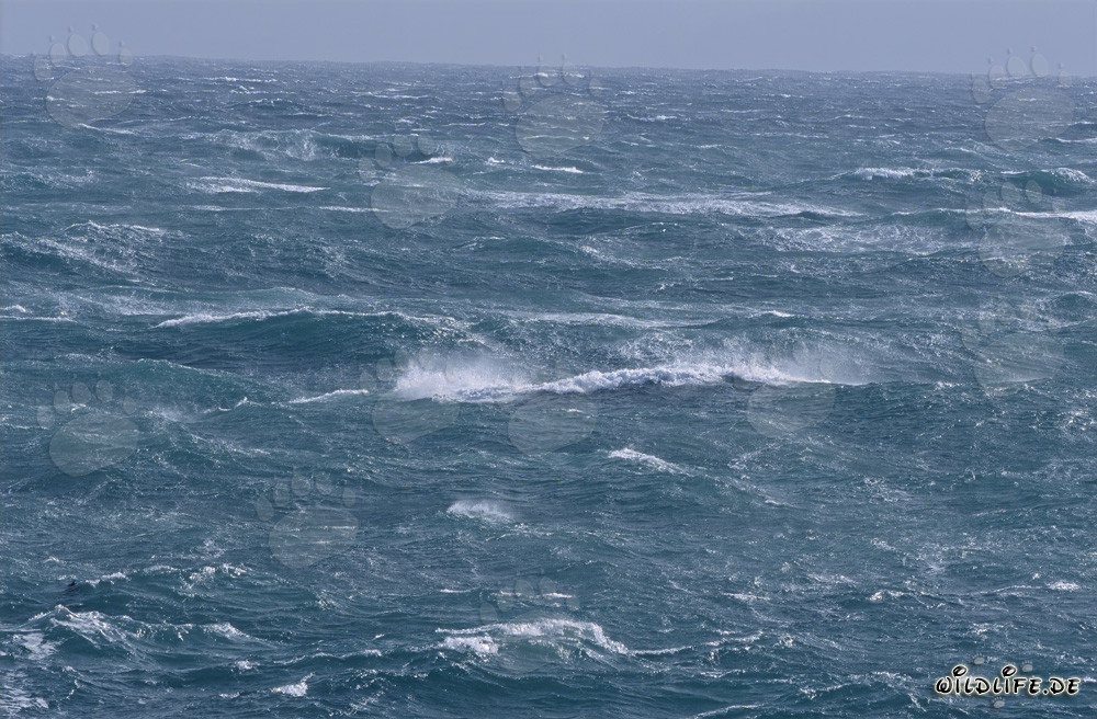 Mar agitado en el Cabo de las Agujas, Sudáfrica