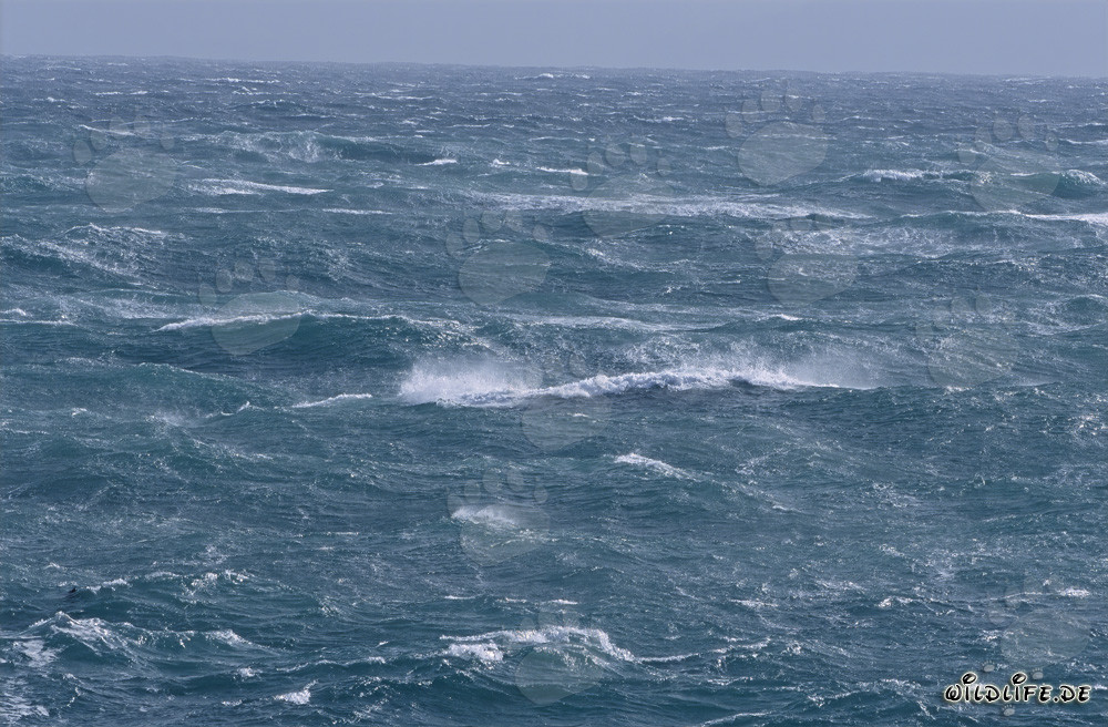 Mare agitato al Capo delle Aghi, Sudafrica