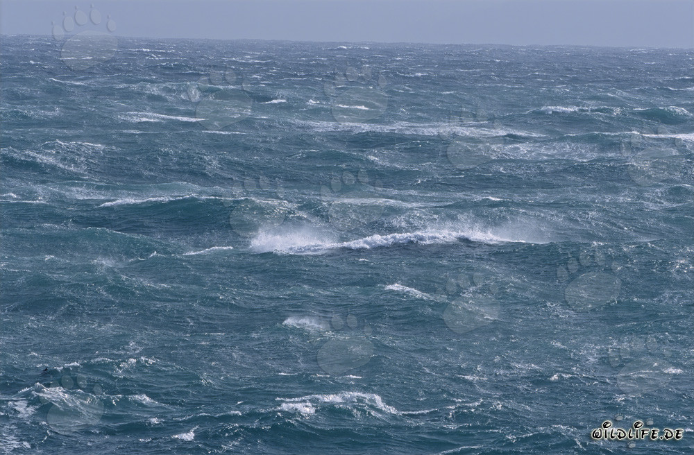 Mer agitée au Cap des Aiguilles, Afrique du Sud