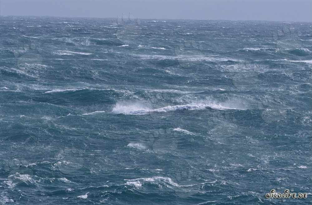 Stormy Sea at Africa's Southern Tip
