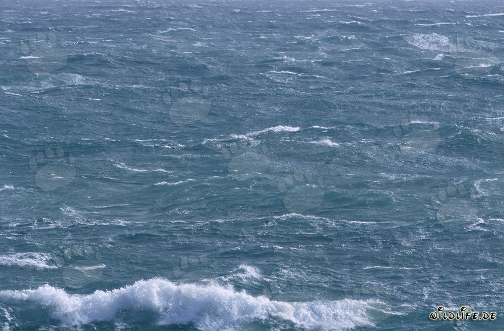Storm at the Southern Tip of Africa