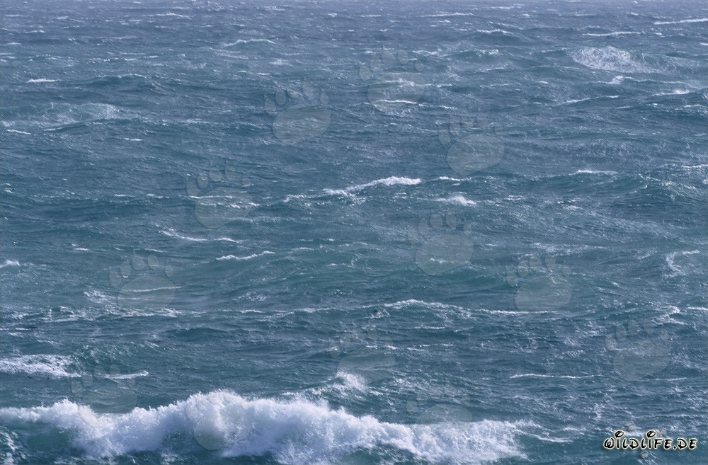 Sturm an der Südspitze Afrikas