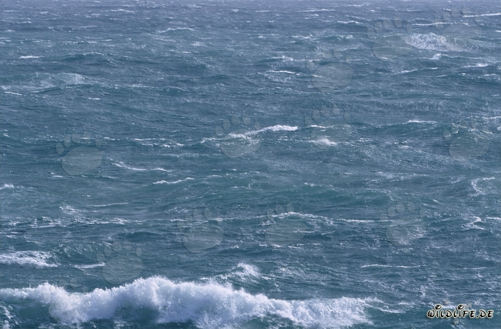 Tempesta alla punta meridionale dell'Africa