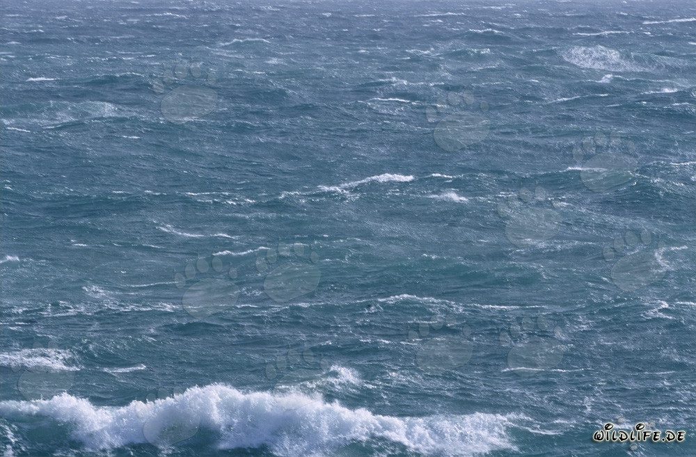 Tempête au cap de l'Afrique du Sud
