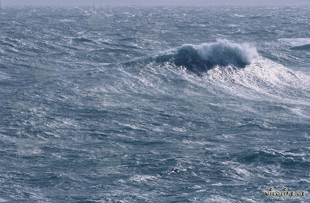 Mare agitato alla punta meridionale dell'Africa