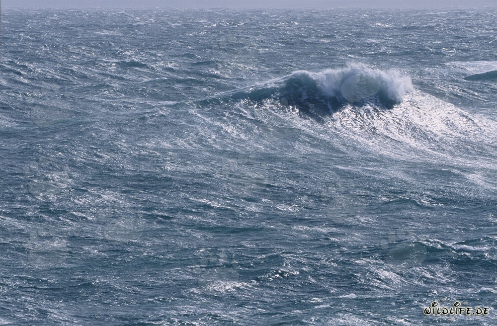 Stormy Sea at the Southern Tip of Africa