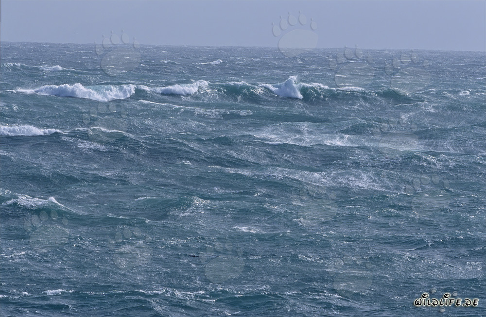 Stormy Atlantic at the Southern Tip of Africa