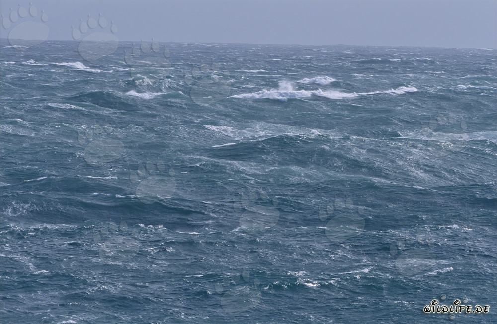 Mare in tempesta al capo meridionale dell'Africa
