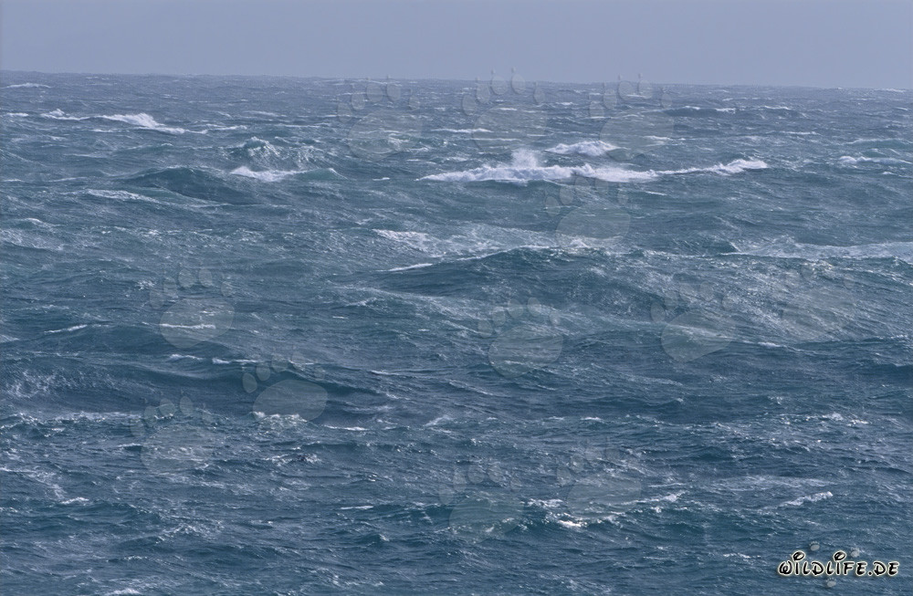 Stormy sea at the southern tip of Africa