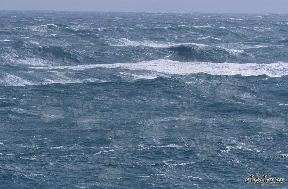 Stormy Sea at Cape Agulhas