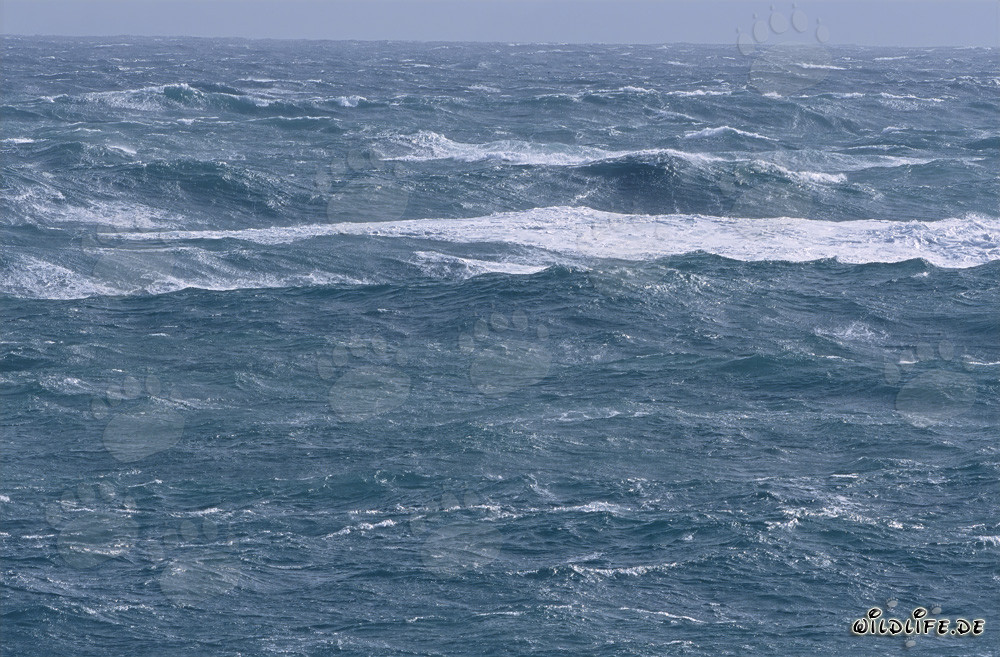Stürmische See am Kap Agulhas