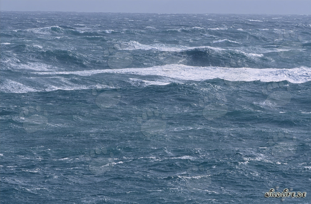 Mare in tempesta al Capo Agulhas