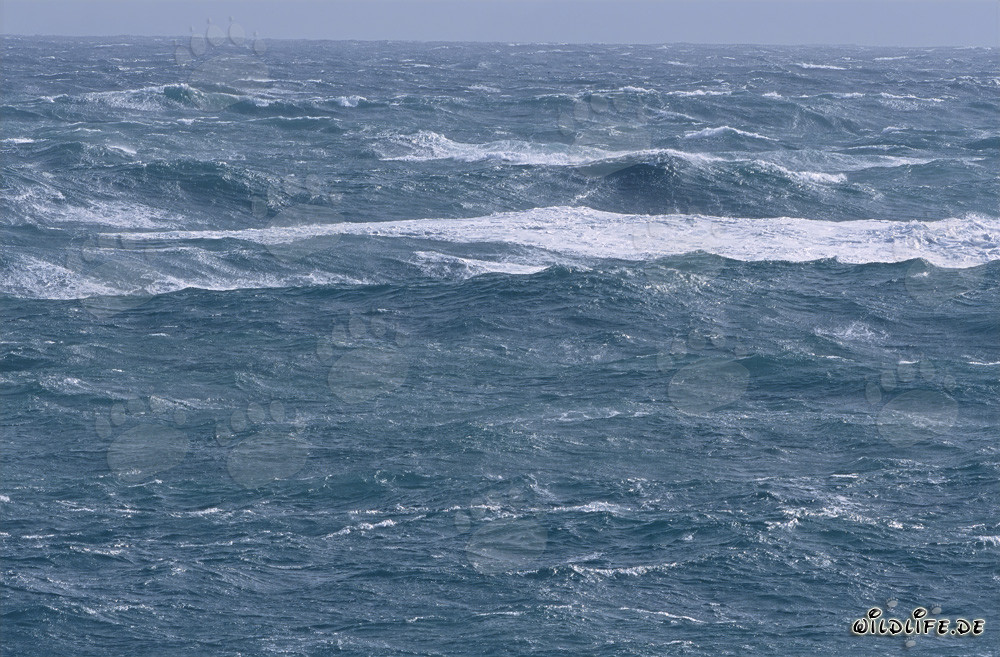 Mar tempestuoso en el Cabo de las Agujas