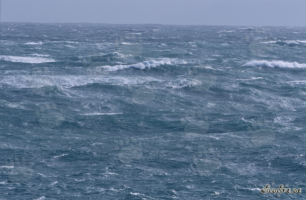 Storm at Cape Agulhas