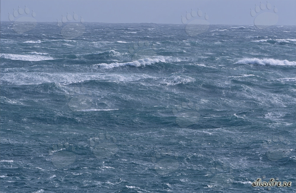 Sturm am Kap Agulhas