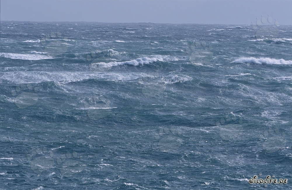 Tempesta al Capo Agulhas
