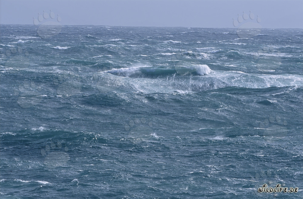 Tormenta en el Cabo Agulhas: Mar salvaje en el extremo sur de África