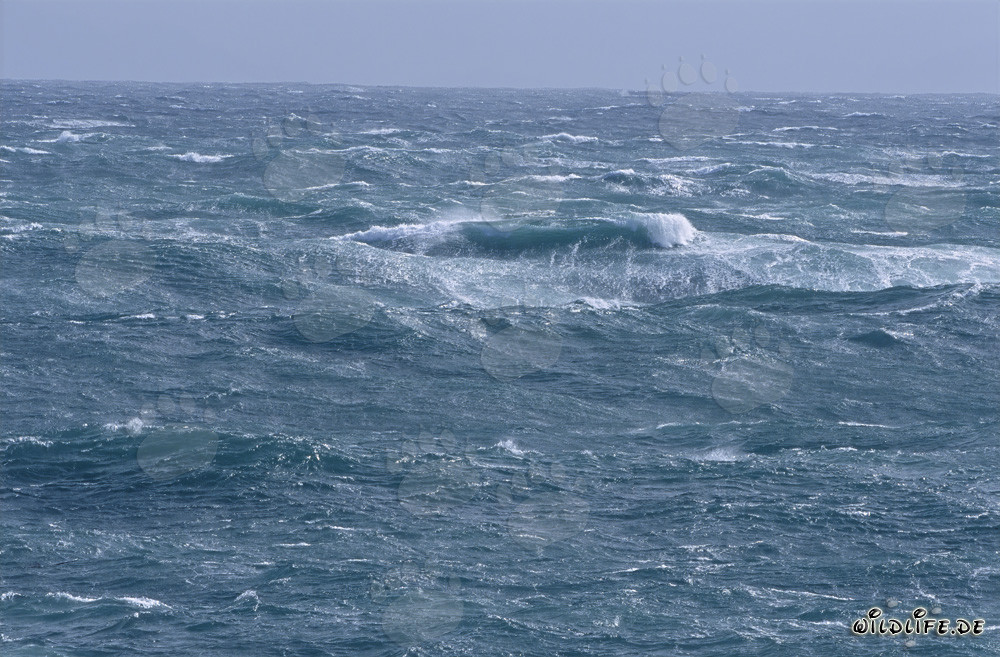 Tempête au Cap Agulhas : Mer agitée à la pointe sud de l'Afrique