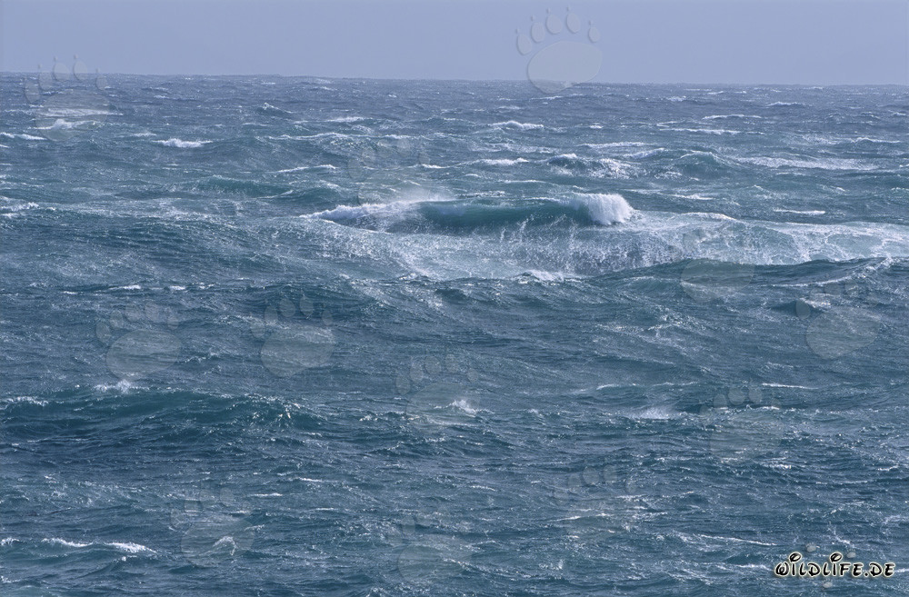 Storm at Cape Agulhas: Wild Sea at the Southern Tip of Africa