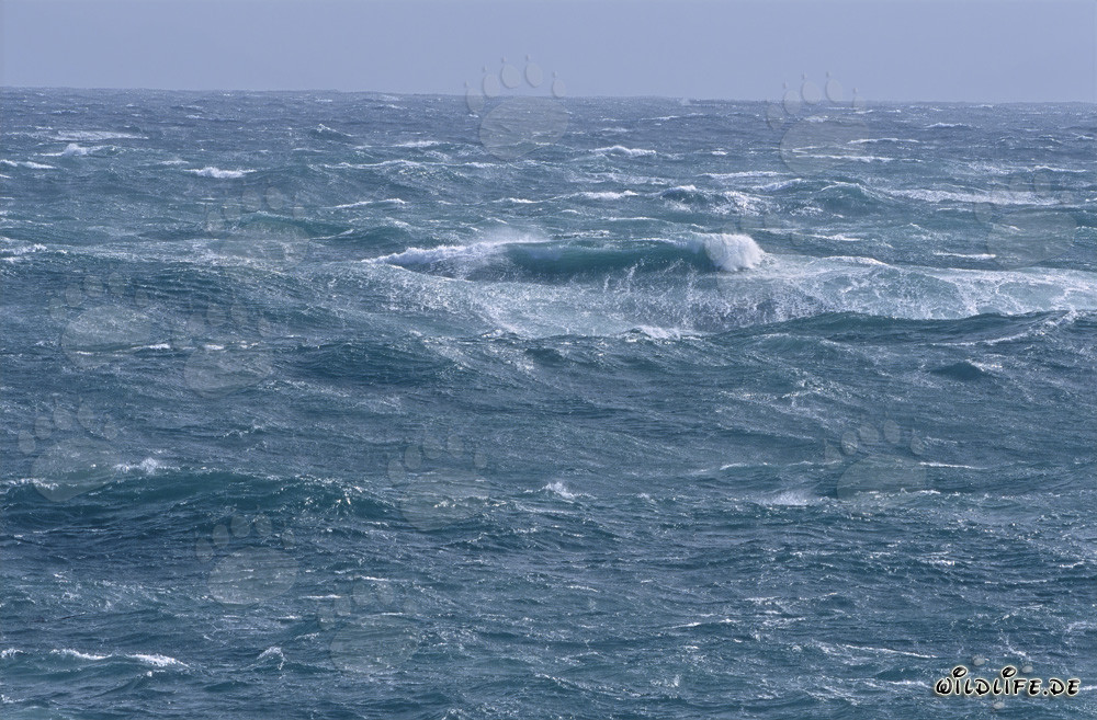 Sturm am Kap Agulhas: Wilde See an der Südspitze Afrikas
