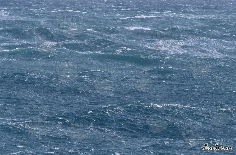 Storm at Cape Agulhas - Wild Sea at the Southern Tip of Africa