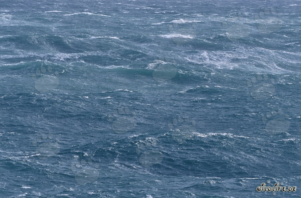 Tempête au Cap Agulhas - Mer agitée à la pointe sud de l'Afrique
