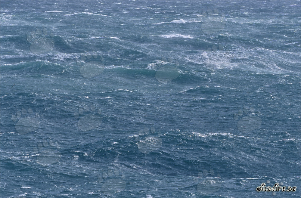 Tormenta en el Cabo Agulhas - Mar salvaje en la punta sur de África