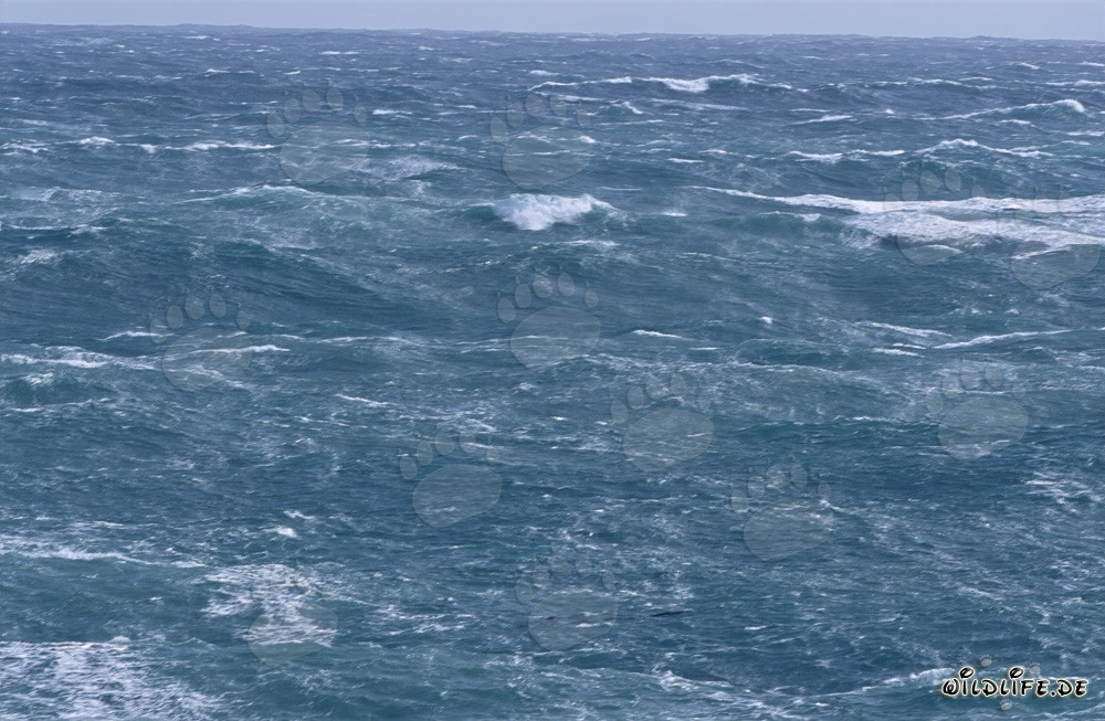 Mar tempestuoso en el Cabo de las Agujas