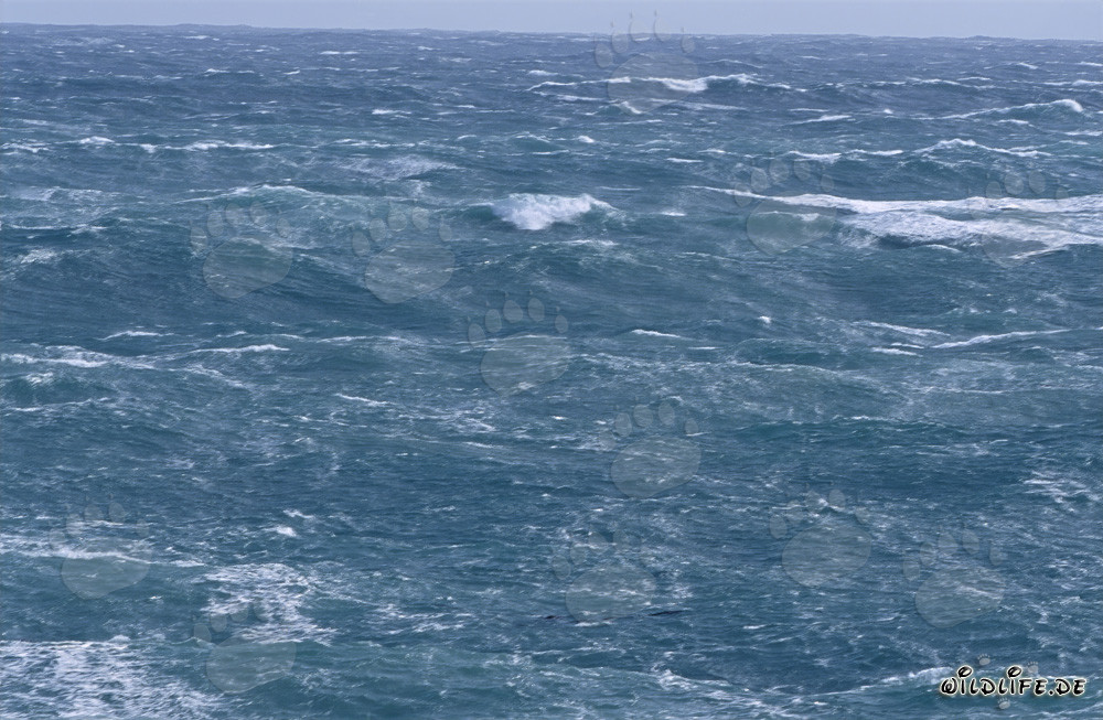 Mare in tempesta al Capo Agulhas