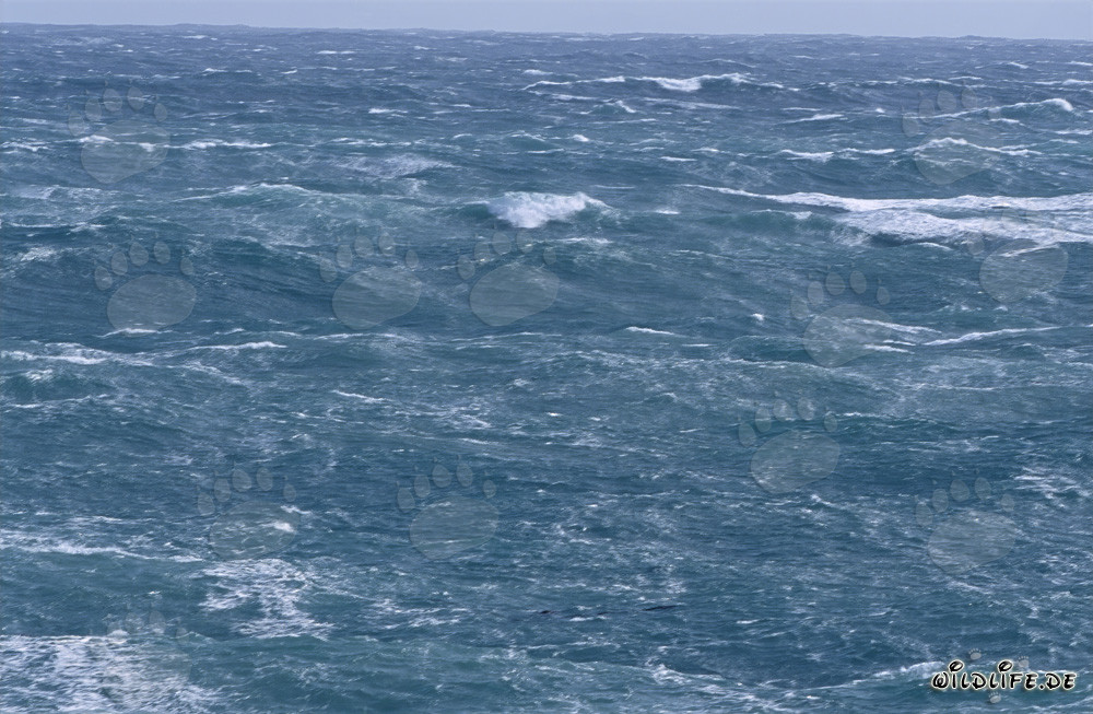 Stormy Sea at Cape Agulhas