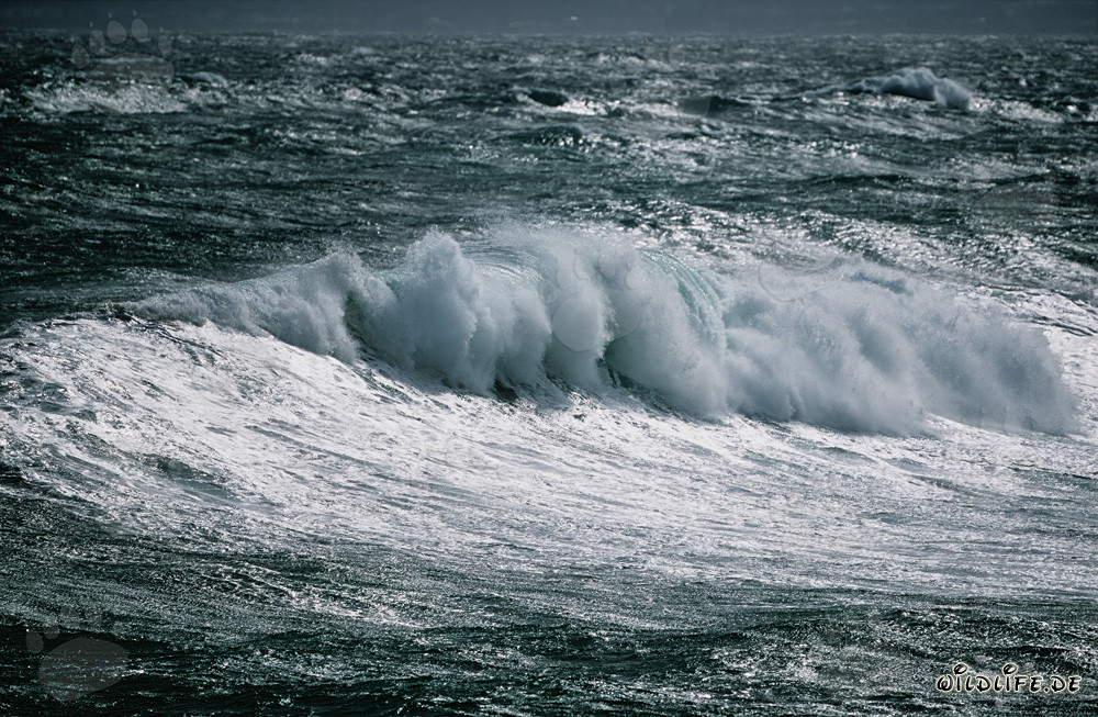Storm at Cape Agulhas