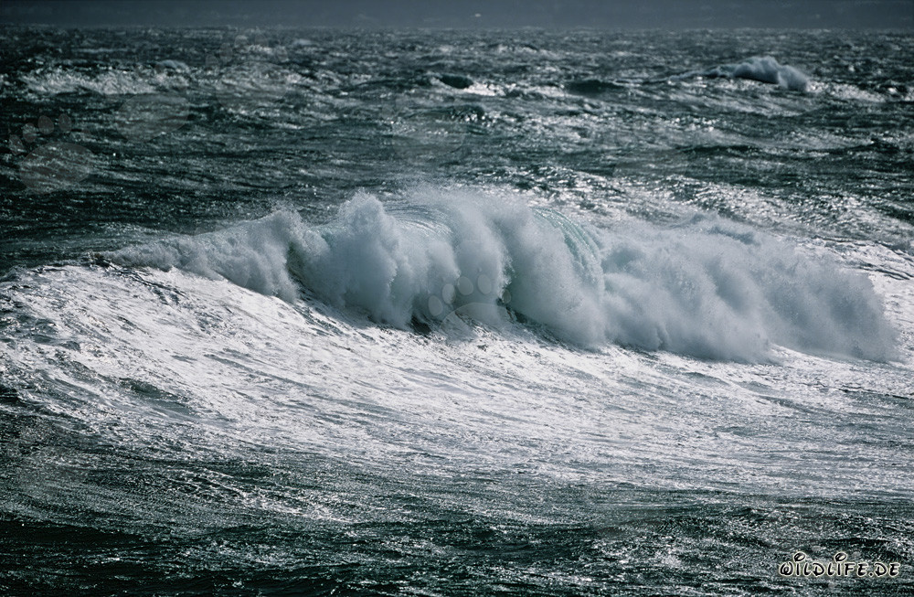 Sturm am Kap Agulhas