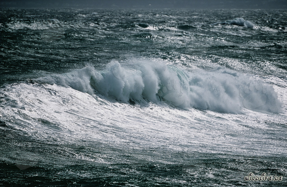 Tempesta al Capo Agulhas
