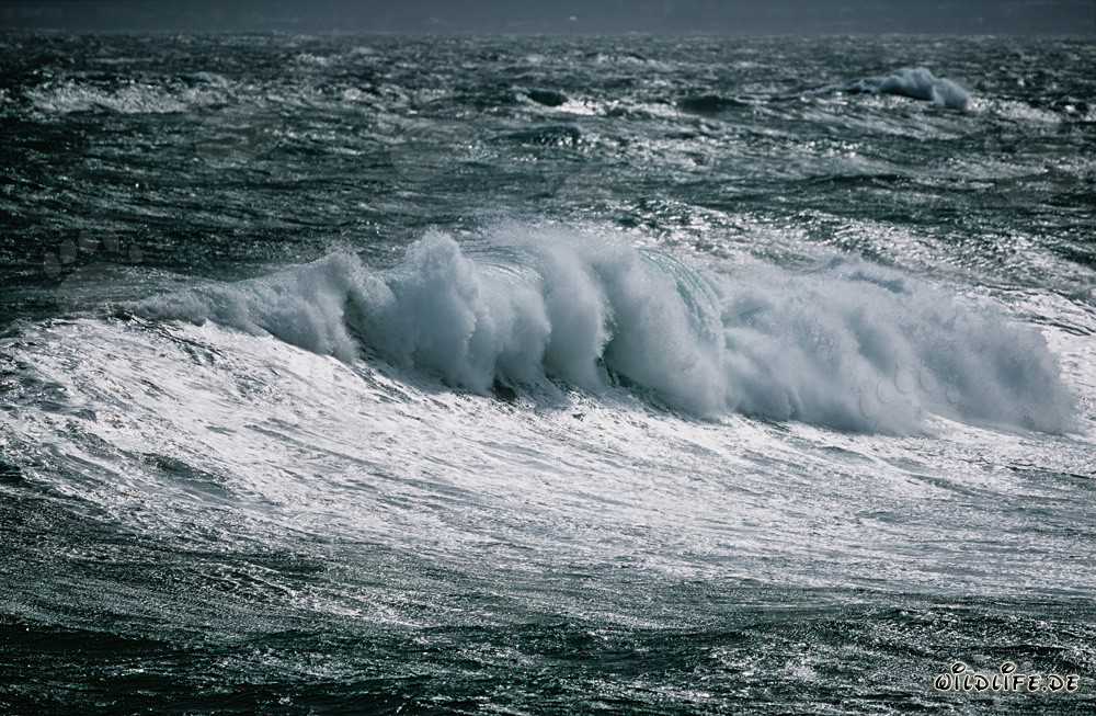Tempête au Cap des Aiguilles