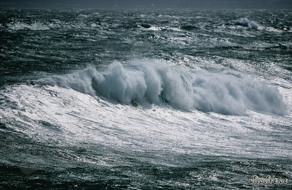 Tormenta en el Cabo de las Agujas