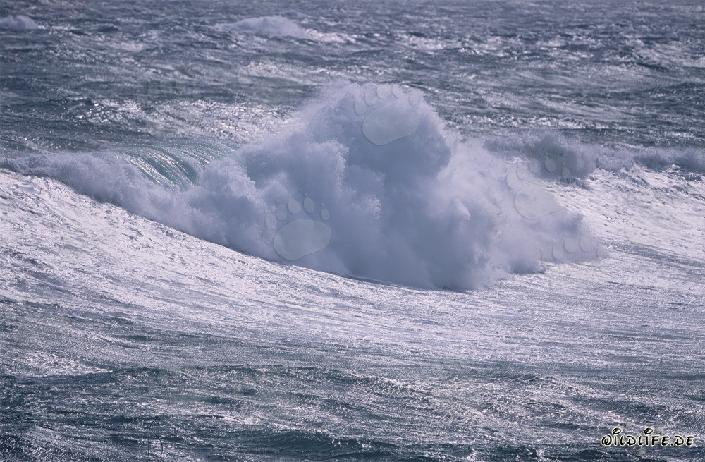 Storm in the South Atlantic