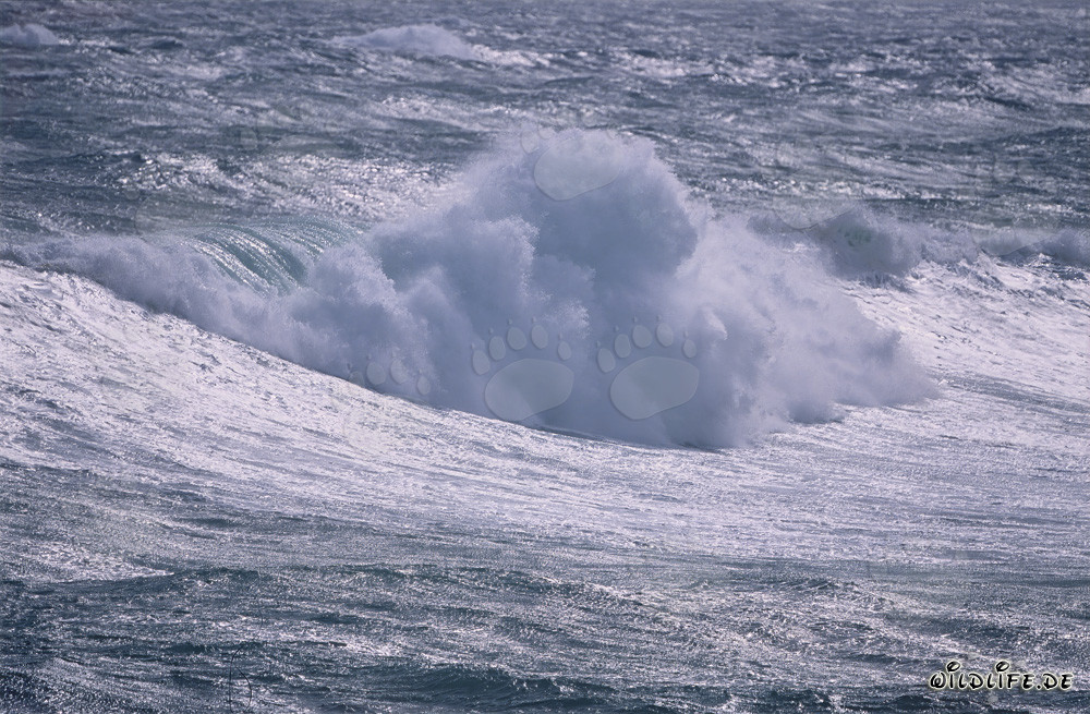 Sturm im Südatlantik
