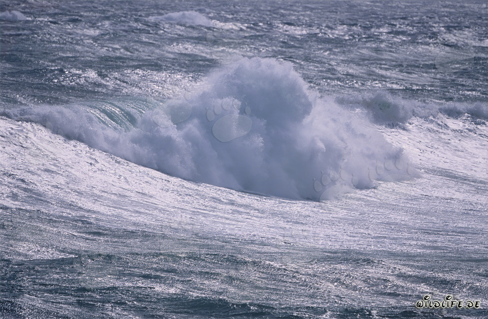 Tempesta nel Sud Atlantico
